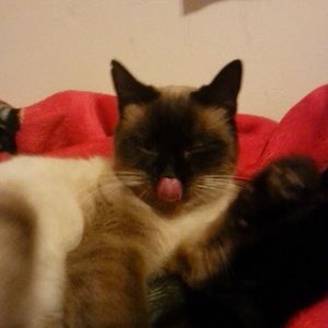 Meet your Posher, Lucas